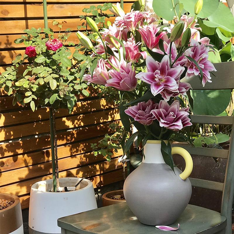 Bột Cắm Hoa Tươi Lâu Tàn Hiệu Longlife Nhập Khẩu Isarel (Bộ 30 gói) giúp hoa tươi lâu gấp 2 lần và 14 ngày không thay nước mới. 7