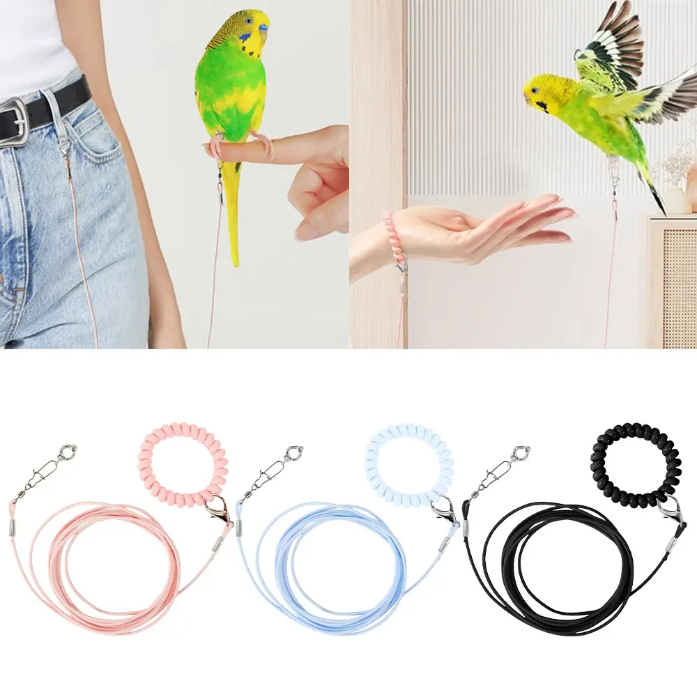 Durable Elastic Parrot Traction Rope Anti-flying Metal Buckle Parrots Training Leash Lightweight Multiple Size Bird Foot Chain for Birds