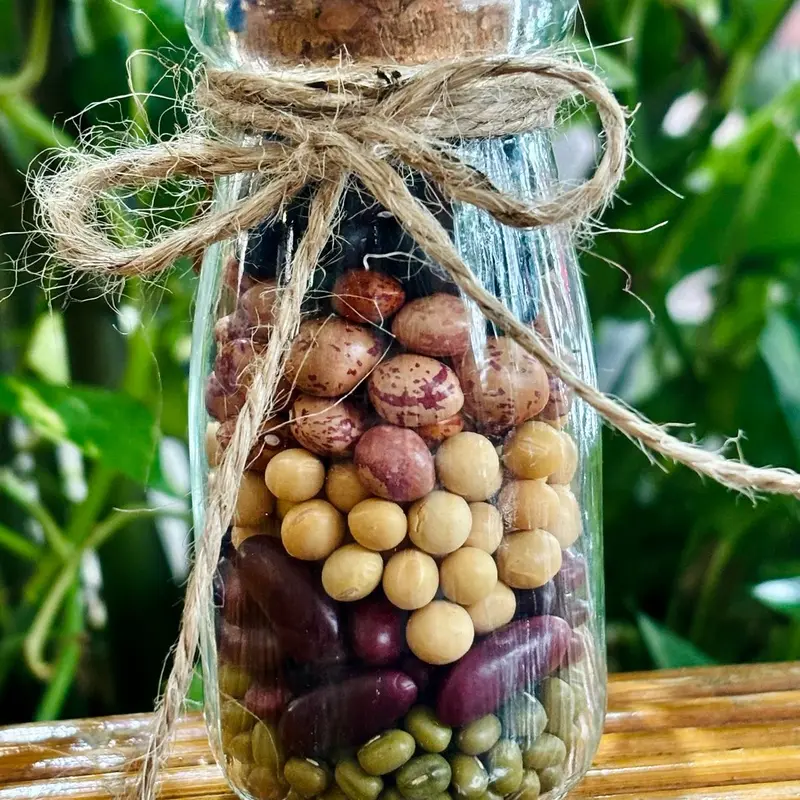 ￼Đậu ngũ sắc cầu con linh nghiệm, Ku Tin bỏ đậu vào lọ nhả vía cho các Bố Mẹ 2