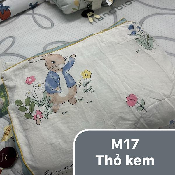Product Introduction of Chăn hè xơ đậu nành 2