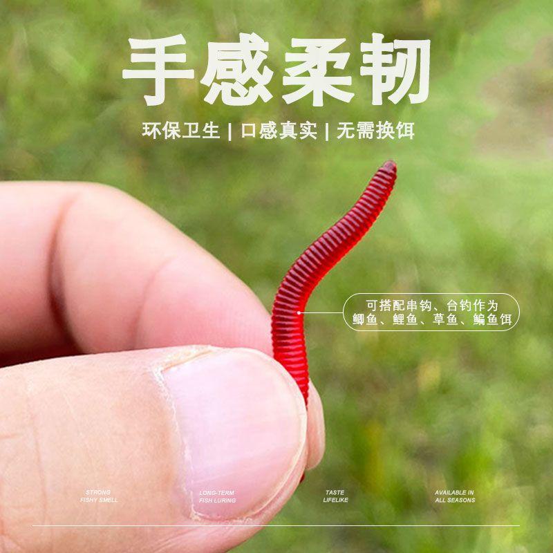 Product Introduction of Mồi Câu Cá Bionic Earthworm Killer, Mồi Giun Đỏ Cho Cá Chép Cá Chép, Cá Chép Cỏ, Mồi Câu Cá, Câu Cá Biển Hố Đen, Thức Ăn Câu Cá Giả, Thích Hợp Cho Cá Chép 3