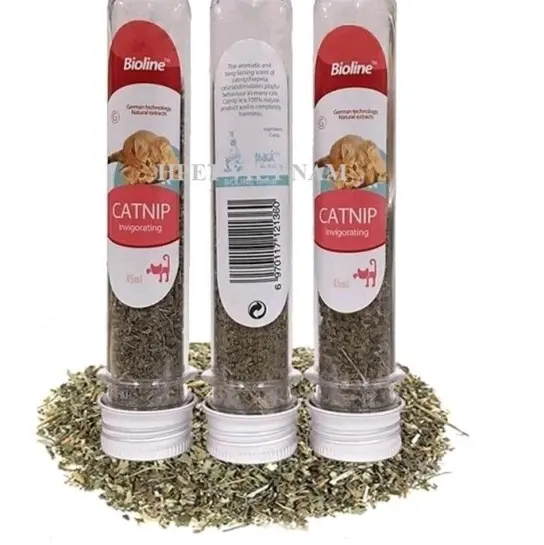 cỏ ống mèo ống giúp mèo tiêu hoá tốt 4