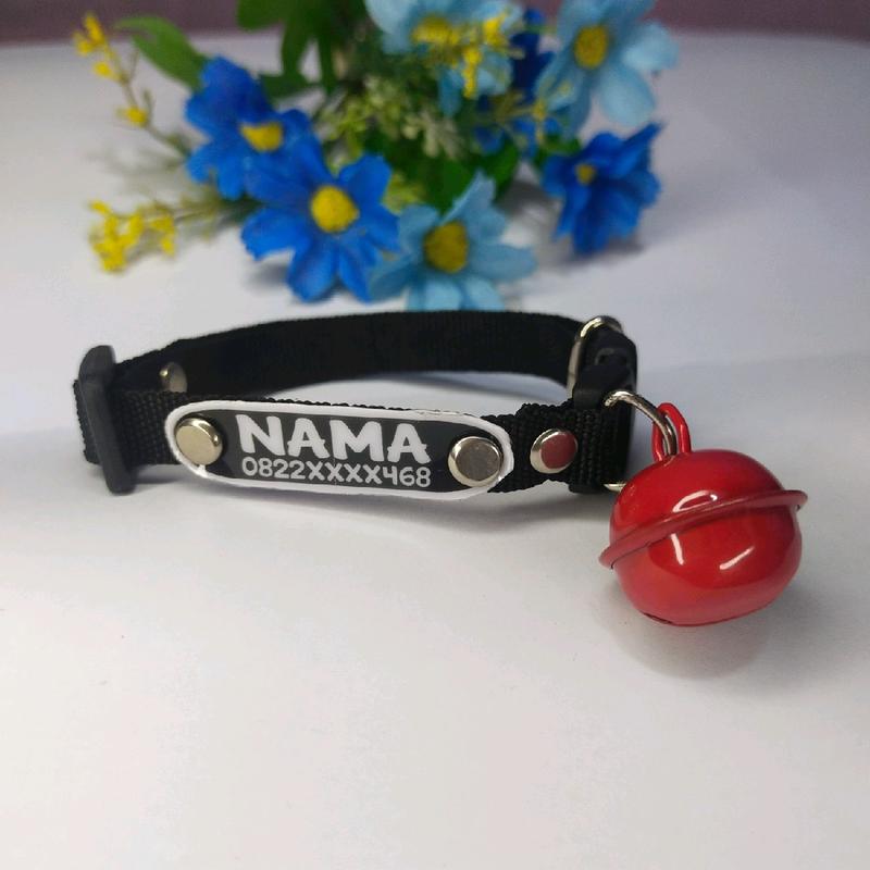 kalung kucing LONCENG JUMBO custom nama motif polos 7
