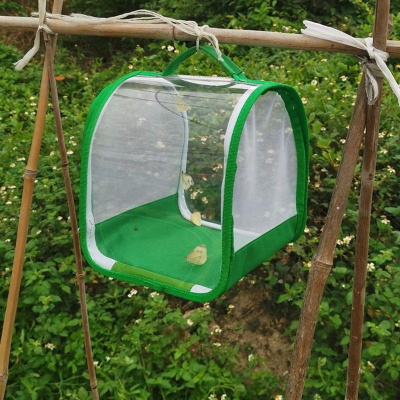 Creative Transparent Critter Butterflies Cage Wear Resistant - TikTok ...