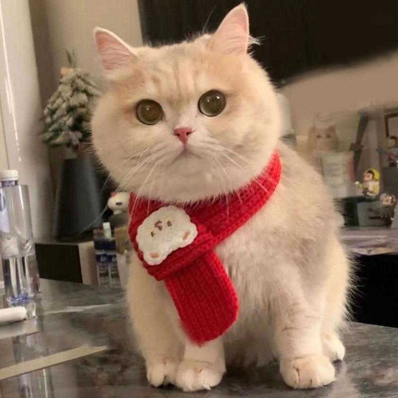 Product Introduction of Cat New Year's Bib Dog Comparison Scarf Pet Accessory 16
