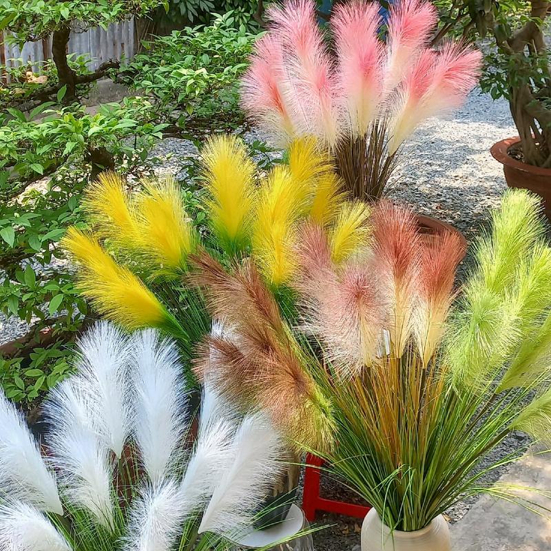  Bông cỏ lau 5 nhánh  loại vip bông mềm mại to và lá nhiều rũ đẹp  bông lau hoa cỏ lau trang trí decor 