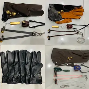 Phụ kiện huấn luyện chim săn