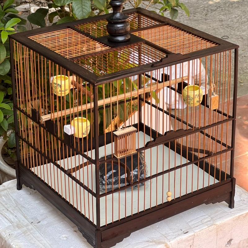  KHUNG LỒNG CHIM MUN ĐUÔI CÔNG CHÀO MÀO VÂN ĐẸP CHẮC CHẮN GIÁ RẺ TỰ RÁP SIÊU DỄ   R A NAM   ĐỦ PHỤ KIỆN 