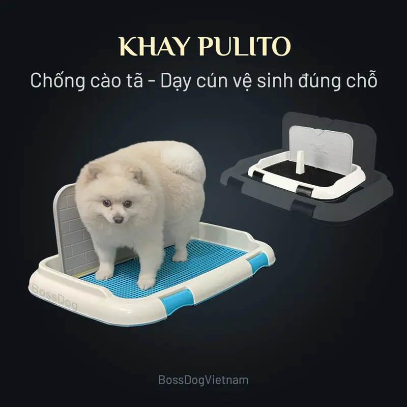 Khay vệ sinh cho chó (Full box có tường và cột) | BossDog 0