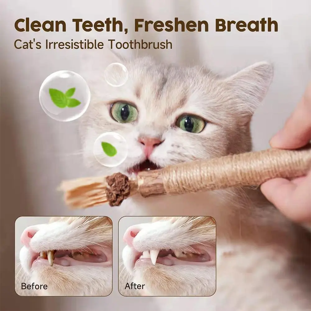 Cat Toy Molar Rod Silvervine Chew Stick With Bell Safe For Indoor Pet Cat Edible Interactive