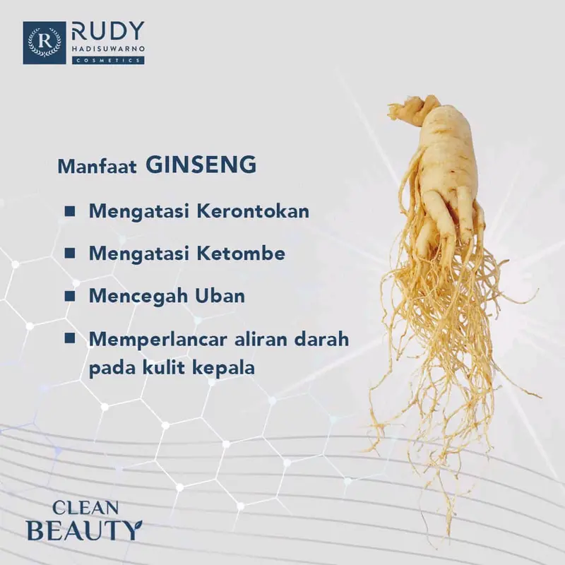 RUDY HADISUWARNO RUDI HADISUWARNO HAIRLOSS HAIR LOSS SOLUTION SHAMPOO 200ML RAMBUT RONTOK 2