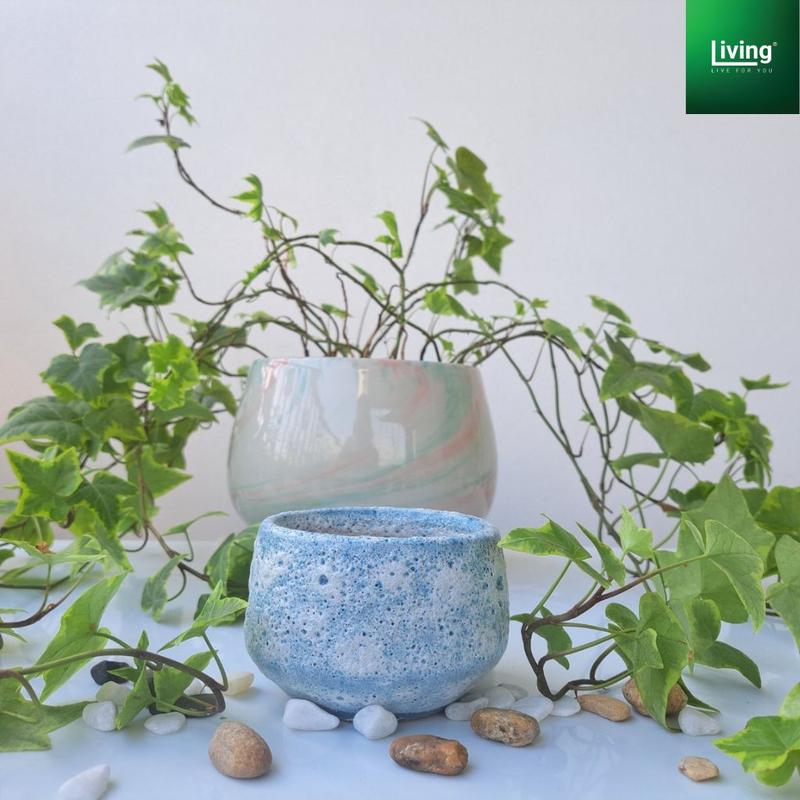 Chậu trồng sen đá, xương rồng, tiểu cảnh sứ Bát Tràng , hình hạt rẻ kích thước 8x7cm. l Living Decor 3