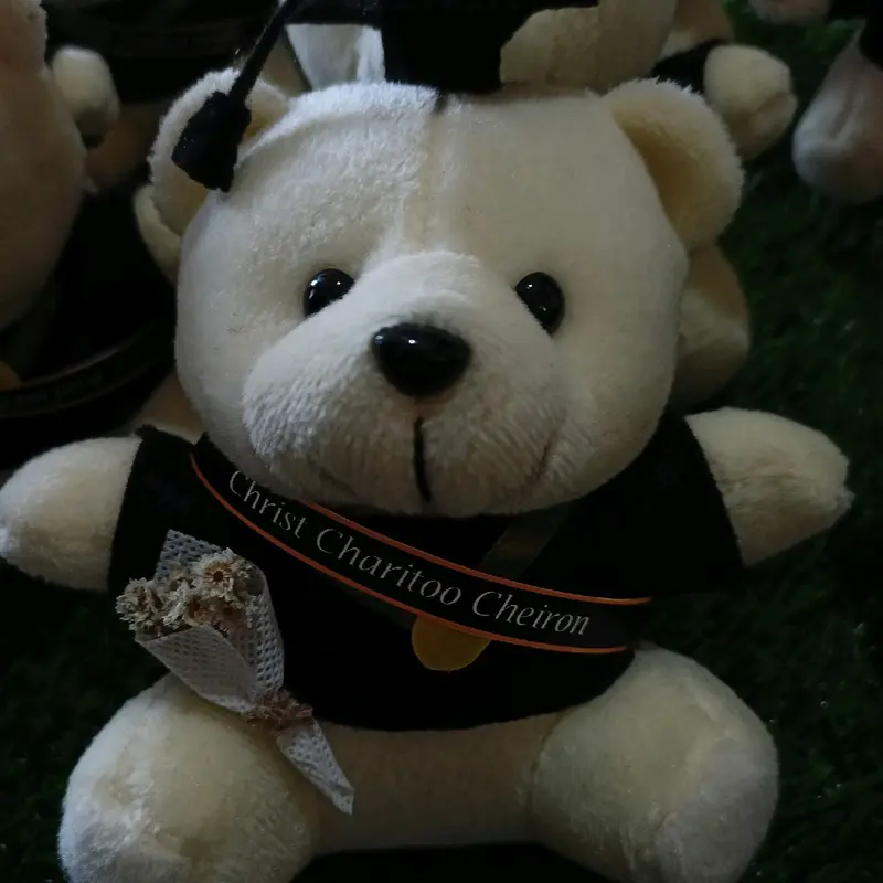 Boneka wisuda Teddy bear tinggi -/+15 cm 4