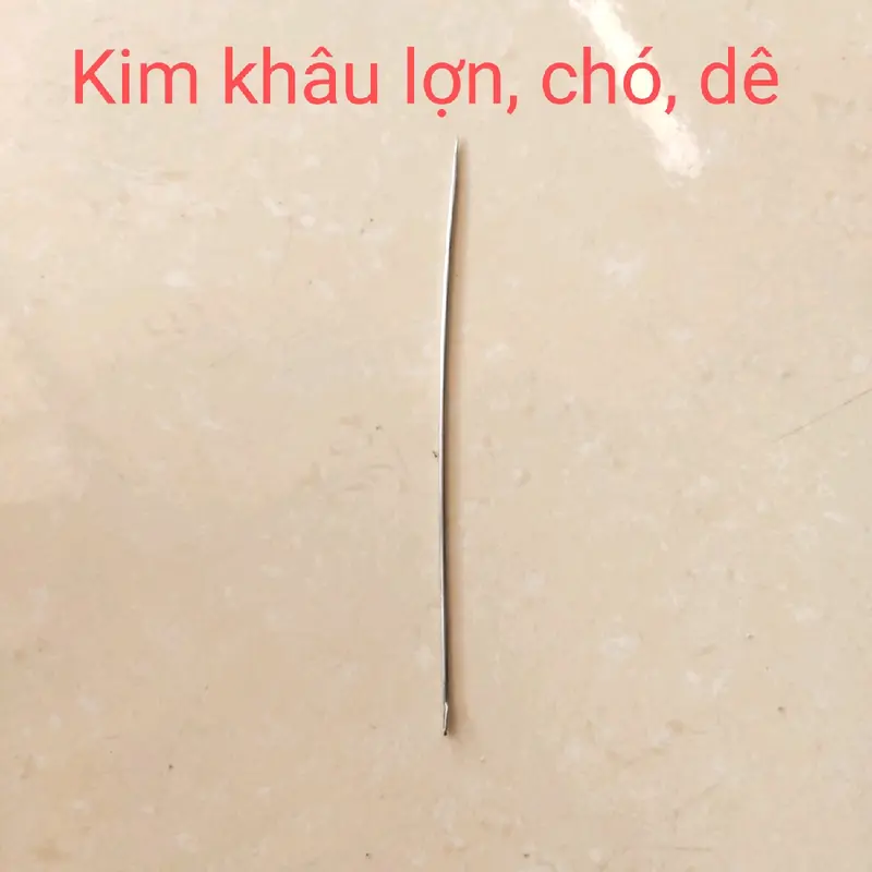 Kim khâu lợn, chó dê / Kim khâu heo bằng thép Nga xịn xò 0