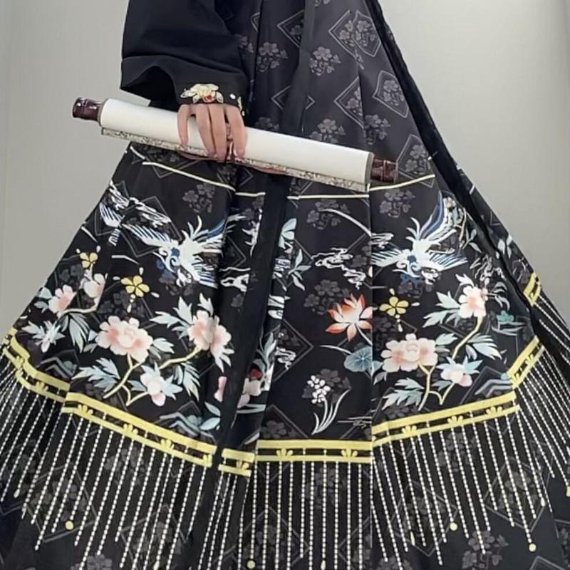 Chinese retro traditional clothing, Hanfu horse skirt, women's black long skirt Hanfu 5