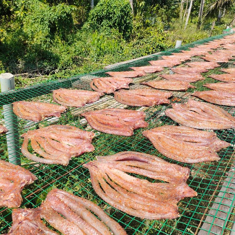 500gram Khô cá Lóc 3 nắng Tự nhiên Gói Food - Sản phẩm mới giới thiệu - Thức Ăn khô