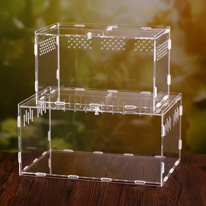 Spider Lizard Container Hatcher Frogs Insect Reptile Incubator - TikTok ...