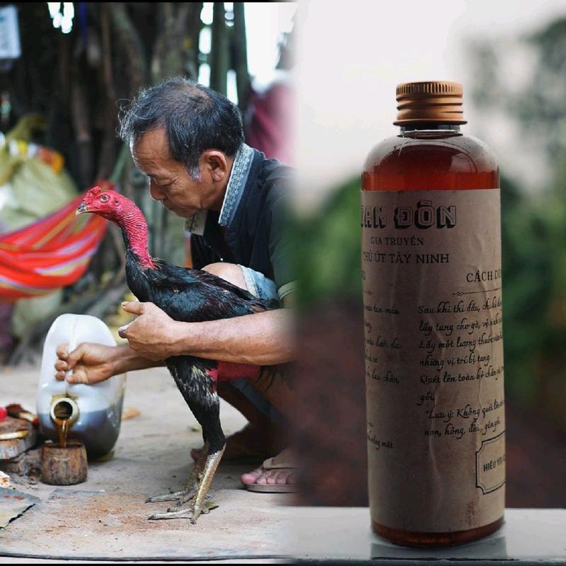 Chai Quét Trị Tang Sau Đá Hoặc Vần Sổ Dành Cho Gà Chọi - Hiếu Yêu Gà Shop