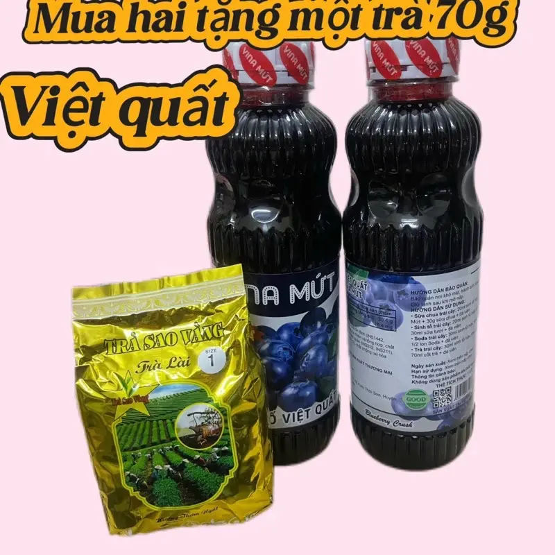 KHUYẾN MẠI  MỘT TRÀ 70G KHI MUA 2  Sinh Tố Trái Cây bất kỳ Vina Mứt 1000ml/ Đào, Dâu ,Ổi , Kiwi, mãng cầu … 3