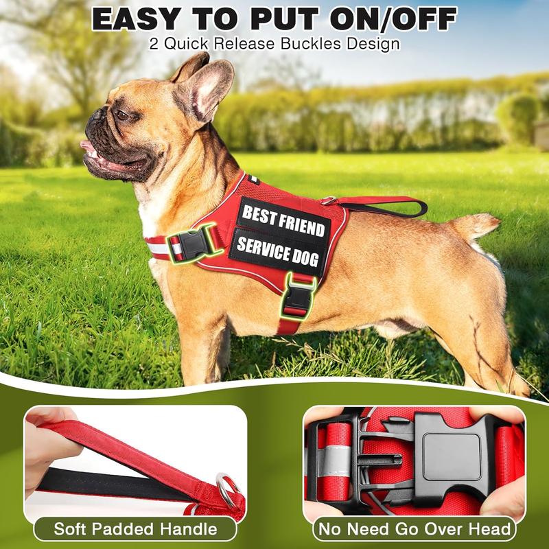 How to put a service dog vest on best sale