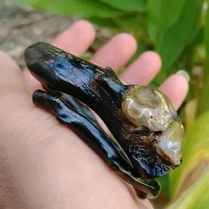 gelang akar Bahar bonggol natural