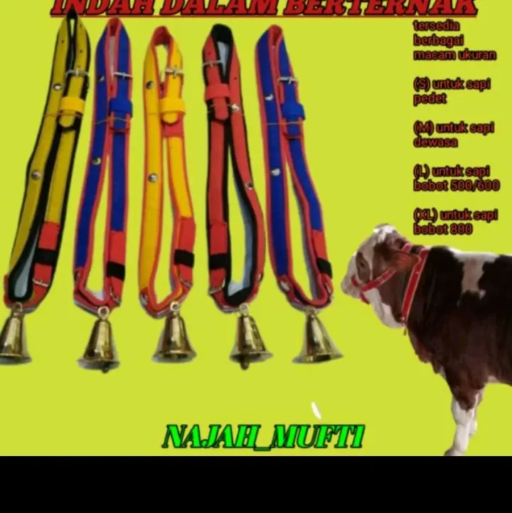 Tersedia kalung sapi terbaru termurah 0
