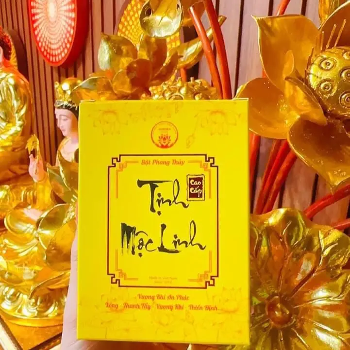 Nụ Xông Vạn Tâm Sen - AURORA 3