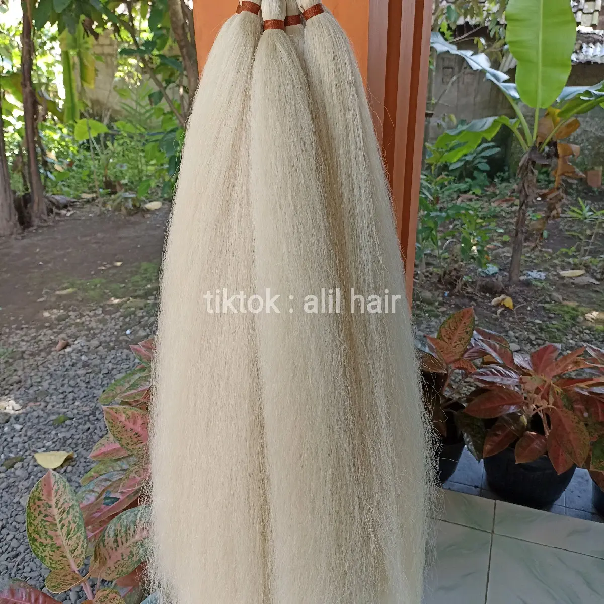 Rambut cemara panjang 80cm warna putih tulang bahan halus - Shop ...