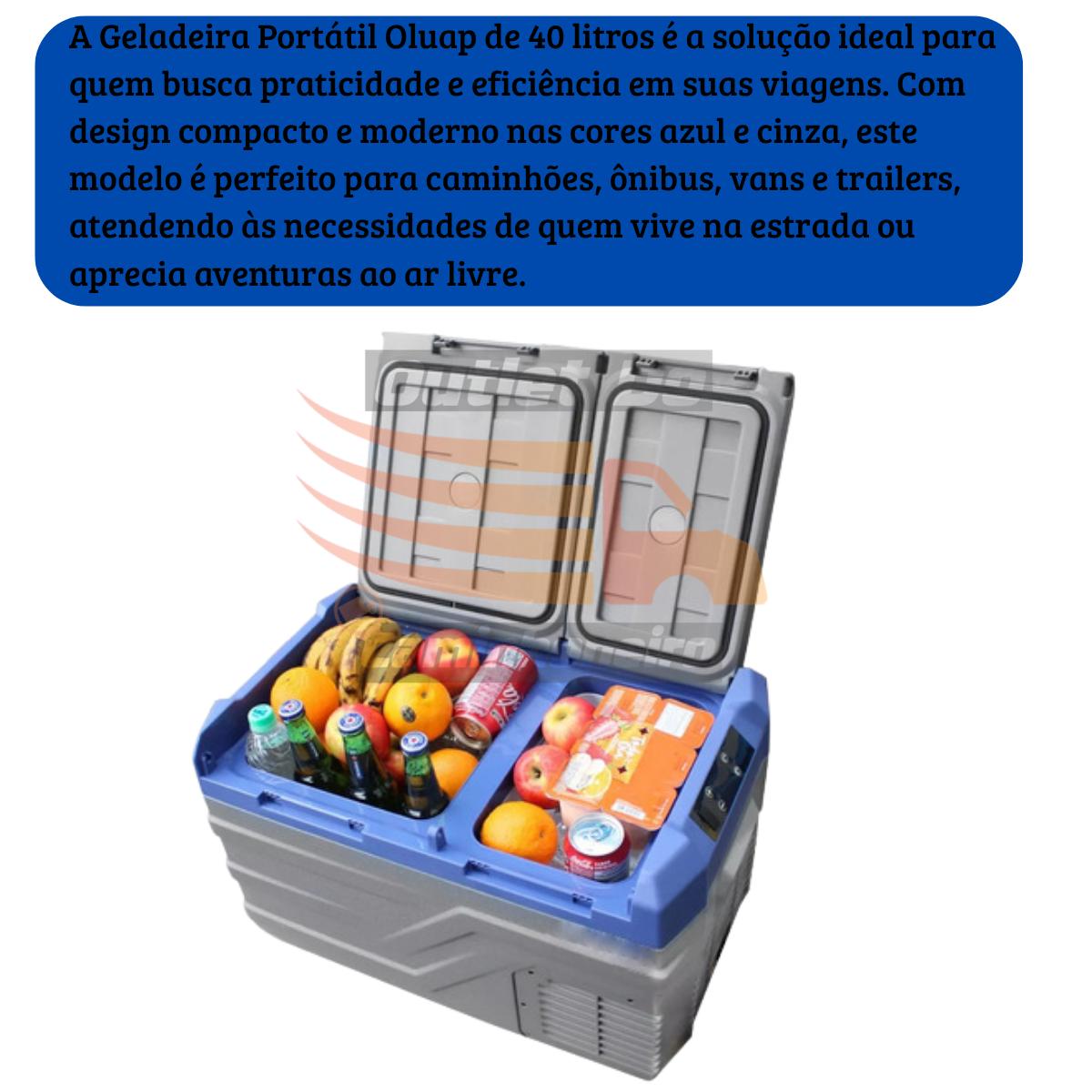 Geladeira Portátil 40l 12v/24v 110v/220v Ônibus Caminhão Van - Azul e Cinza — foto 4