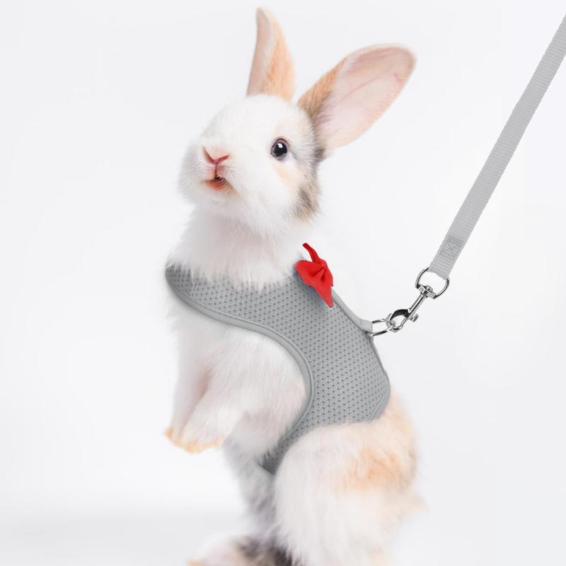 Bow Design Rabbit Harness With Leash, Adjustable Breathable Rabbit Harness, Pet Supplies For Indoor and Outdoor Walking, Small Animal Supplies 1