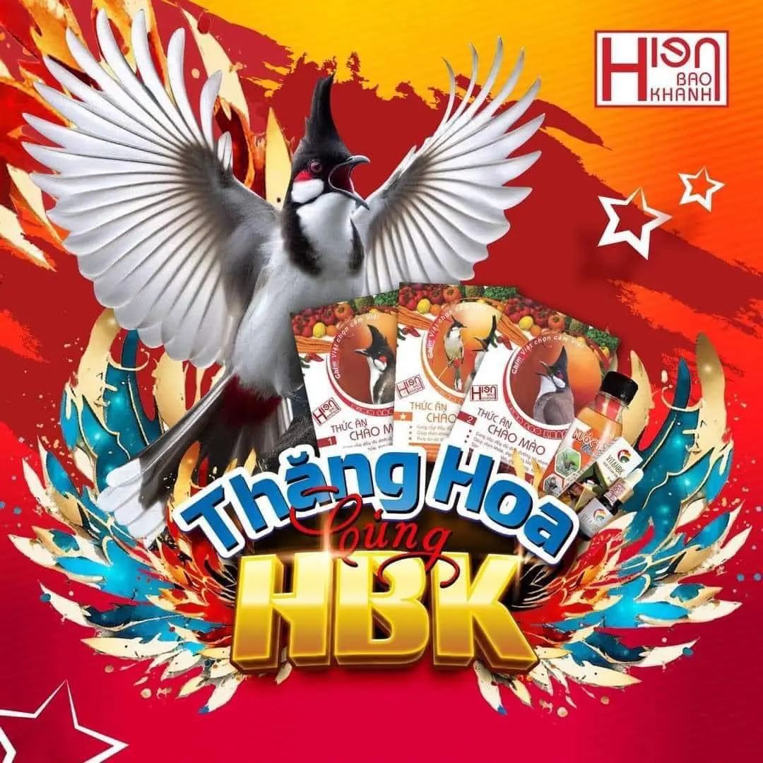Cám Chào Mào Hiển Bảo Khánh