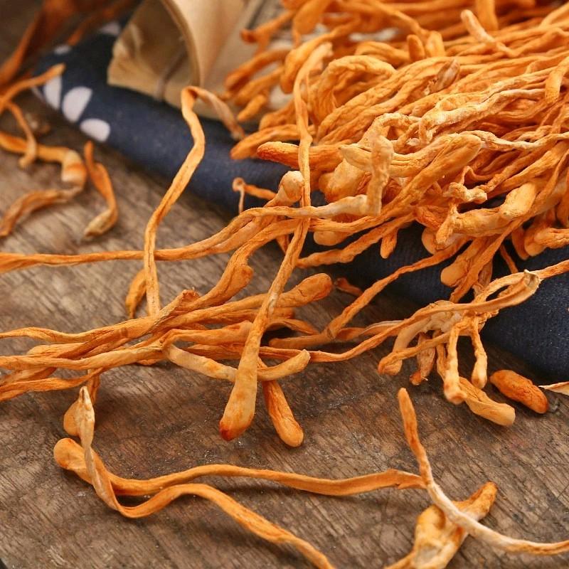 Đông Trùng Hạ Thảo Sấy Khô 100gr 1