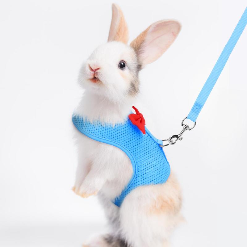 Bow Design Rabbit Harness With Leash, Adjustable Breathable Rabbit Harness, Pet Supplies For Indoor and Outdoor Walking, Small Animal Supplies 3