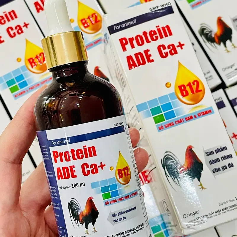 Protein ADE Ca+B12 (100ml) uống nuôi dùng cho đá, mau lên cơ, tăng bo, lì đòn, hừng hực, sung , tăng đề kháng  vào chế độ tốt.  nuôi tổng hợp cho gà tơ xung căng 8