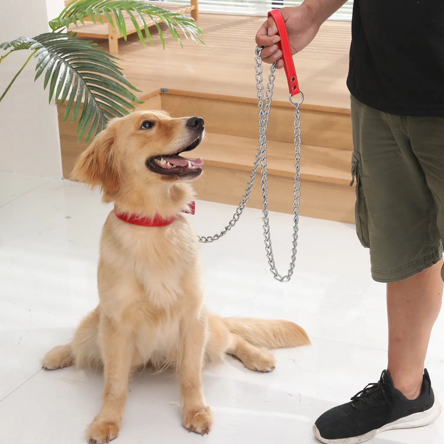 Dây Xích Chó, Cầm Tay, Dây Xích Sắt, Thích Hợp Cho Chó Đất, Chó Nhỏ Và Lớn, Dây Xích Chó, Dây Xích Chó, Dây Xích Chó, Dây Xích Chó, Vòng Cổ Chó, Vật Dụng