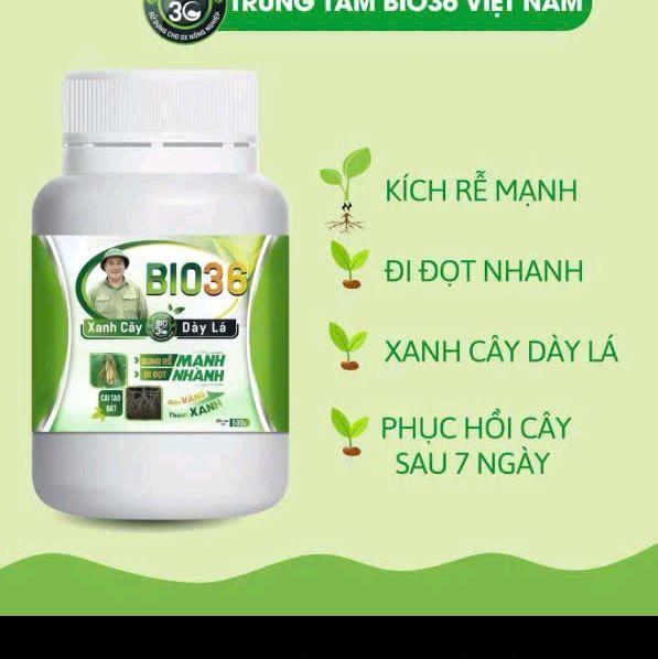 Mua 3 tặng 1 Bio 36 500g siêu kích rễ đi đọt nhanh, tăng năng suất, Bio36 khỏe cây dày lá, phục hồi cây sau thu hoạch 7
