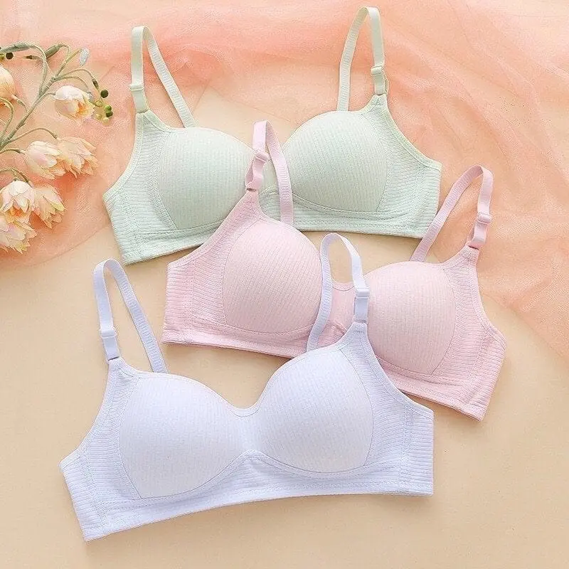 [Combo 3 Áo] Áo Lót Nữ, Áo Ngực Cotton Không Gọng, Áo Ngực Mút Mỏng Dành Cho Học Sinh 6