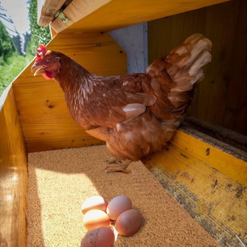 Chicken Nesting Pad, Waterproof & Anti-freeze Chicken Nesting Mat, Farm Animal & Poultry Supplies, Pet Supplies 2