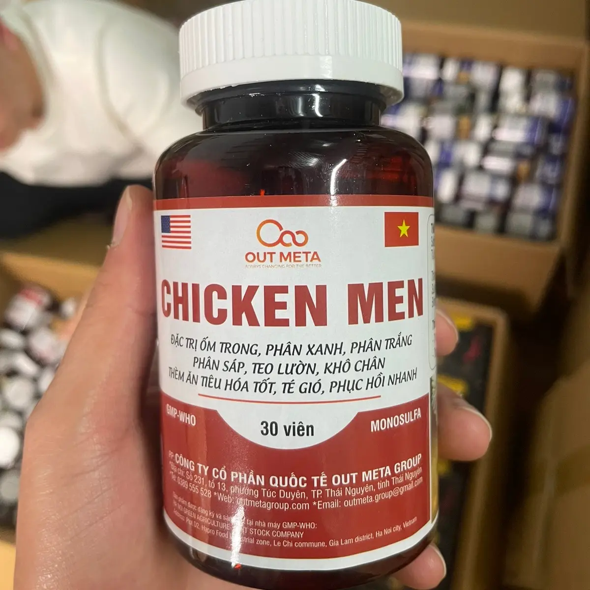 Chicken Men - Ốm trong gà đá