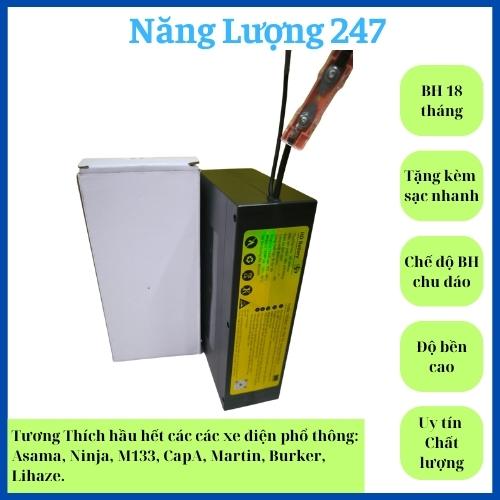  PlN 48V15Ah Chất Lượng Cao Cho Xe Điện Phổ Thông 