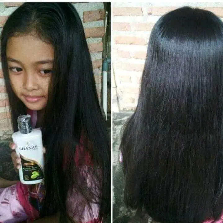 Sampo conditioner Shanas Nasa pemanjang dan penumbuh rambut cepat // perawatan  rambut  Rontok   Membersihkan Ketombe Shampo Shampoo Haircare