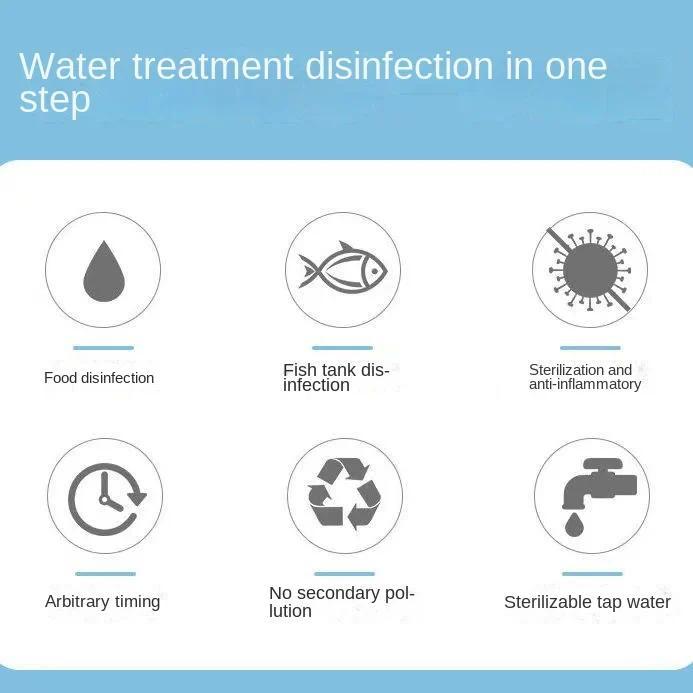 Product Introduction of Ozone Generator Water 1g 1000mg 2g 2000mg AC110V AC220V Air Water Sterilizer Purifier Fruits Vegetables Meat Food Washer 9