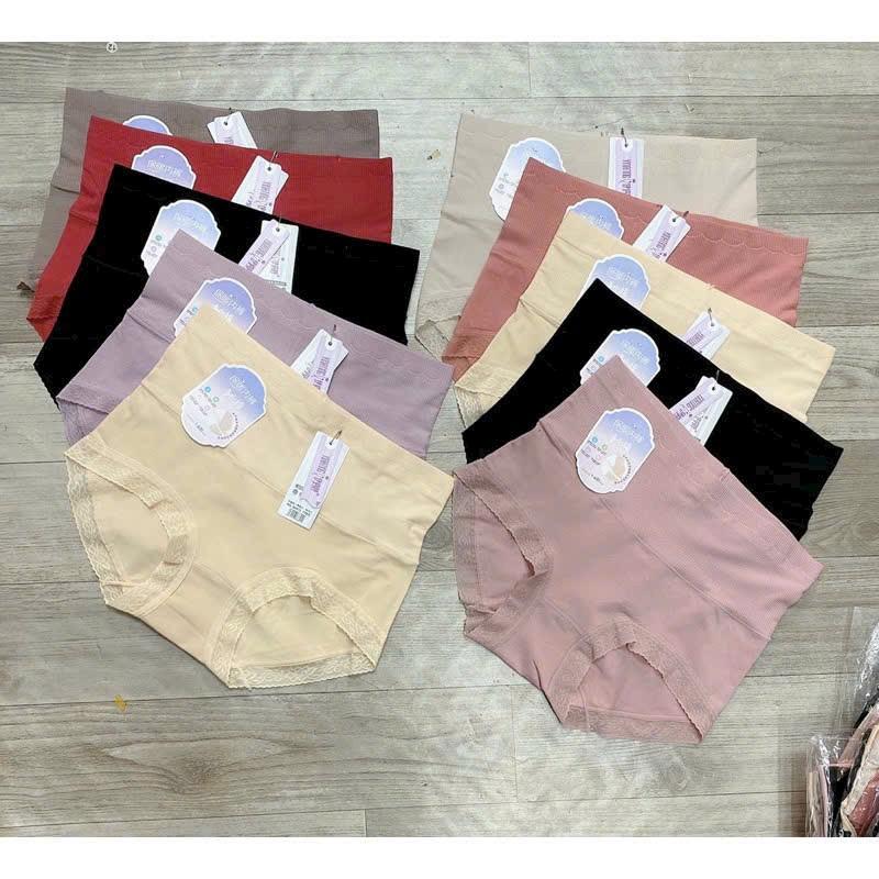 Product Introduction of Sét 5 Quần Lót Cotton Cao Cấp Cạp Cao Nữ Women Voi Nhung 4