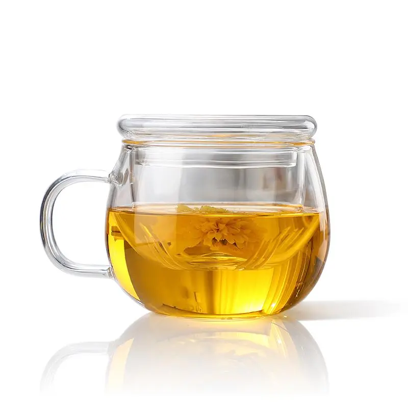 Glass Tea Cup with Infuser & Lid, 1 Count Clear Tea Mug, Heat Resistant Tea Cup for Loose Leaf Tea, Blooming Tea, Tea Bag