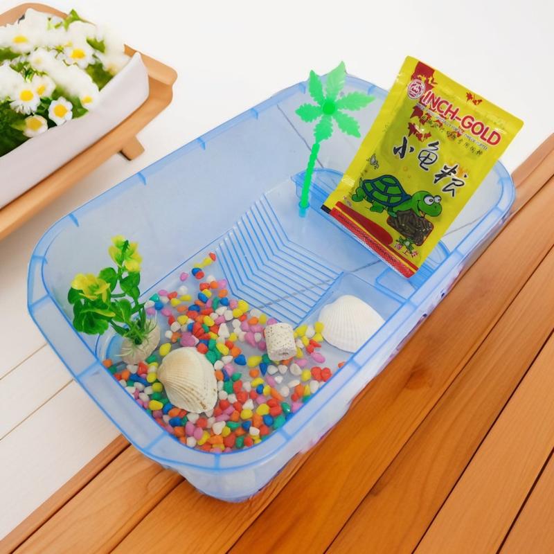  Hồ nhựa nuôi rùa chậu nuôi rùa có chỗ leo Hộp nhựa nuôi rùa 