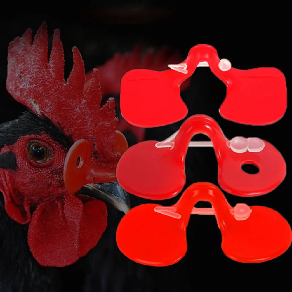 Creative No Bolt Non-shedding Safe Anti-pecking Reusable Chicken Pigeon Glasses Chicken Glasses Poultry Supplies