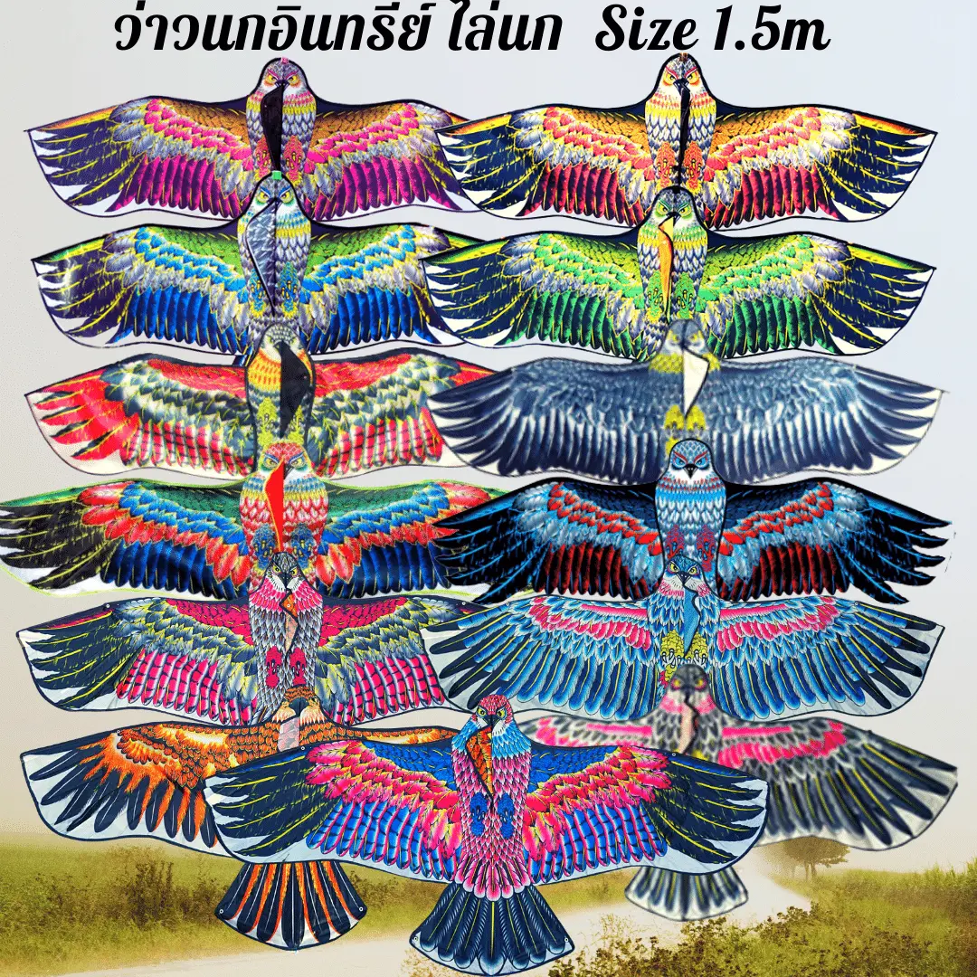 ว่าวนกอินทรีย์  ขนาด 1.5 ม. พับเก็บได้  แถมเชือกฟรี หลากหลายสีให้เลือก มีจำนวนมาก ปลีก-ส่ง