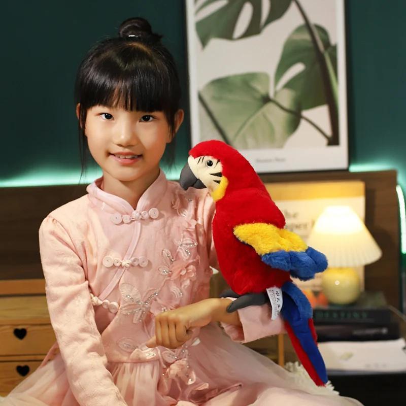 Product Introduction of 25CM Lifelike Bright Colorful Parrot Plush Toys Soft Simulation Wild Animals Stuffed Bird Doll Children Kids Gift Home Decor 19