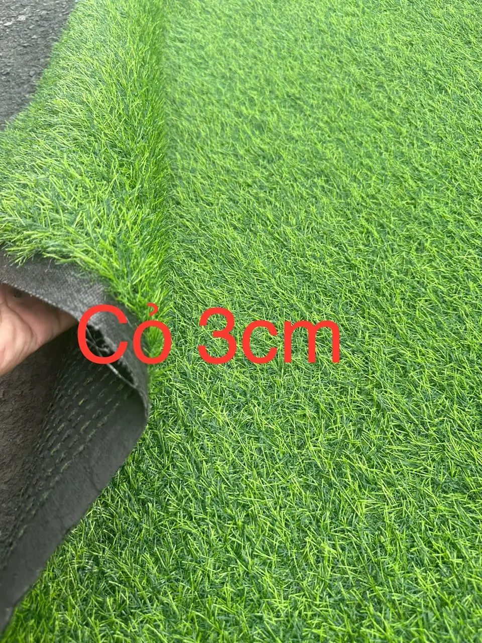 Combo 6m2(2m x3m) cỏ 3cm trải khu vui chơi trẻ em, trường mầm non, sân trường.