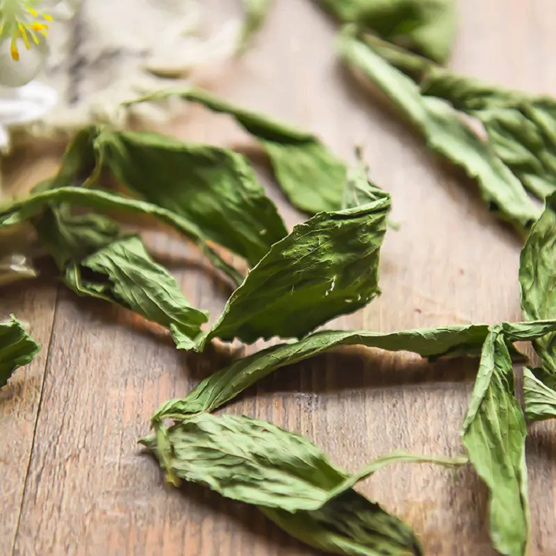 Lá Cỏ Ngọt Sấy Khô - Hàng đẹp nguyên lá - Túi 100g - 200g - 500g Nước Trà Tea Chè Trà 5